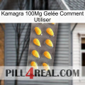 Kamagra 100Mg Gelée Comment Utiliser cialis1